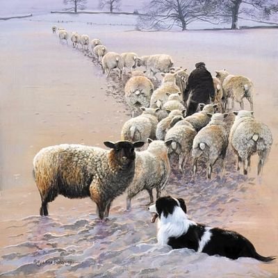 elangelgris9's profile picture. Buchon