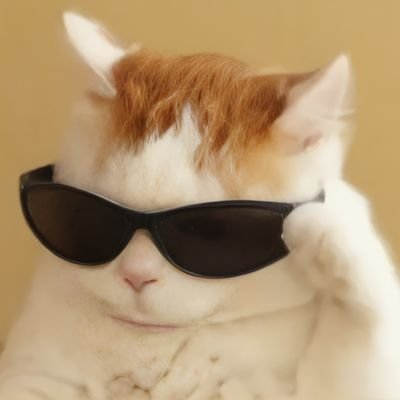 panhotenn's profile picture. 24