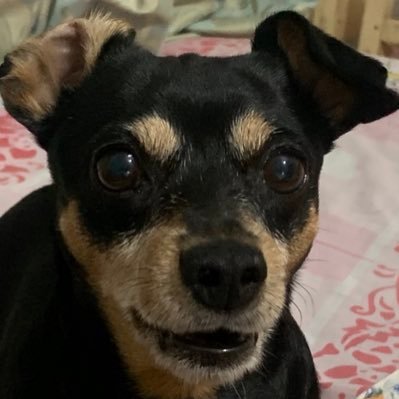 hannakim1303's profile picture. 