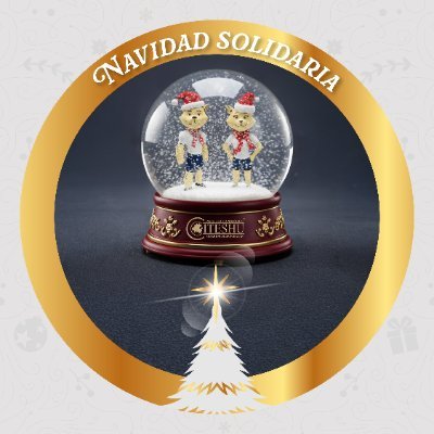 ITSHuichapan's profile picture. 