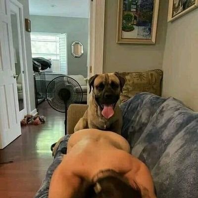 Zoooqueen's profile picture. Unleash your wild side 🐾🐶💦
Step into exotic vids is irresistible premium dropbox and previews....