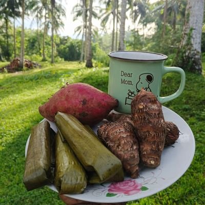 PeterM39729's profile picture. friendly