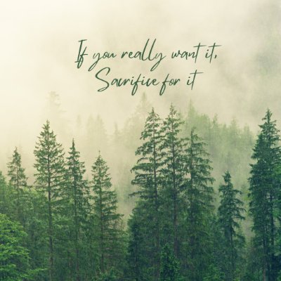 mohosinh99's profile picture. Frontend Developer with 3+ Years of Hands-on Experience | Skilled in JavaScript, TypeScript, React & Next.js