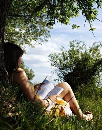 Kealoha224183's profile picture. Carrying a pocketful of joy, returning with a heart full.