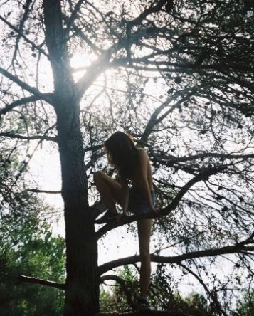 Santavana455943's profile picture. Give your all, and success will follow