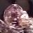 HbertL's profile image