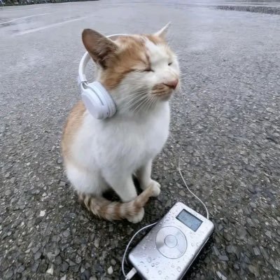 libevm's profile picture. performative retard