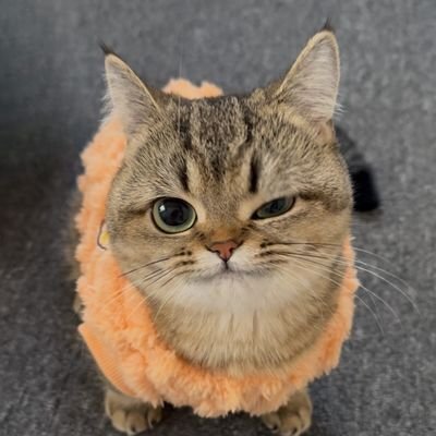 Muton5555's profile picture. แอคนี้สร้างไว้เผื่อหวีดวีโดยเฉพาะ