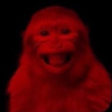 sankey socorro Profile