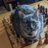 KeyboardMan6535's profile image