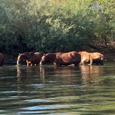 jakeuno11's profile picture. performance marketer