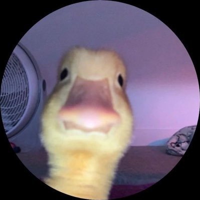 sunshinesspace's profile picture. ☀︎ welcome to my unhinged corner of the internet ♡ books, music, and occasionally sports