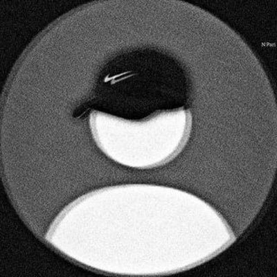 flshishir's profile picture. Web3 and Crypto Explorer, Always Focus On Learning, Building, Growing