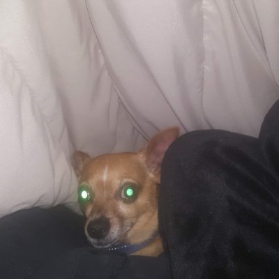 jimdande25's profile picture. 🇺🇲 MAGA Patriot 🇺🇲 Loving Husband 🇺🇲 2A 🇺🇲 Freedom and peace for all 🇺🇲

TRUMP 2024!!!..💯

💥🇺🇲💥🇺🇲💥🇺🇲💥🇺🇲💥🇺🇲💥🇺🇲💥🇺🇲💥🇺🇲