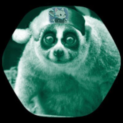 0xLoris's profile picture. Founder @ Crypto HFT MM // Founder @LorisTools // Founder @Hyperzap_io