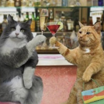 nat20ali's profile picture. 