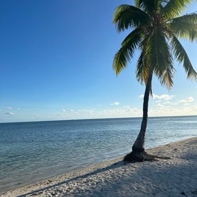 BaptBuchet's profile picture. Baptiste Buchet