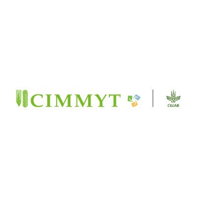 @CIMMYT