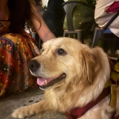 theofficialriti's profile picture. ब्राह्मण ॥ fluent in tweet speak ||  dealing with humans aren’t my thing anymore