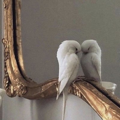 na_alamoudi's profile picture. و أجعلنيّ خيراً لِنفّسي و لِمن حوليّ يا الله..♥️