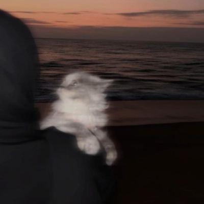 Fav_daliia's profile picture. هنا أنتمي لصمتي.