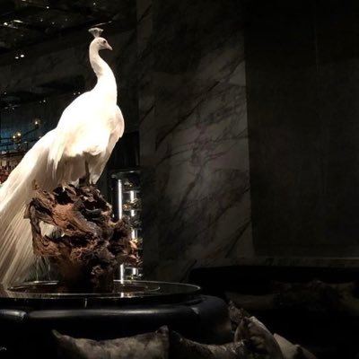 1TherealLamoui's profile picture. 