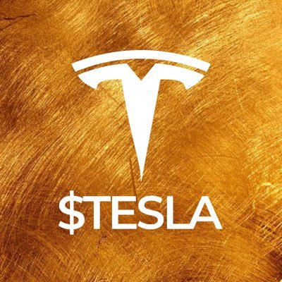 TESLASOLX's profile picture. $TESLA - The Big, powerful, futuristic Coin for the “TESLA” generation. Coolest Coin on Solana leading the charge for something Big!