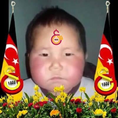 gscnkudhavefali's profile picture. gsiyibiziyi, proud father of three saprofit(s), humble brother of two tiny lions # Si optimum petimus, cur imperfectum sit?