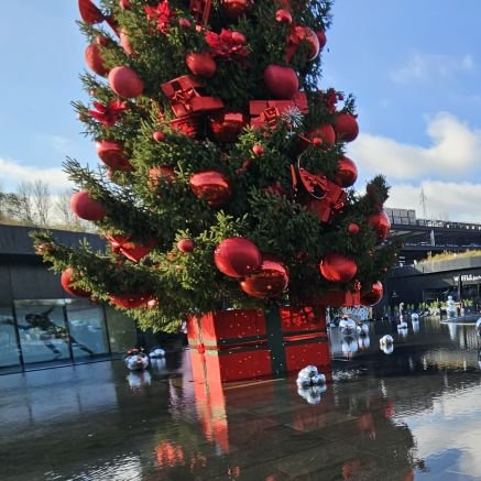 mery_nelia's profile picture. 