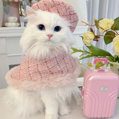 yqafk73329329's profile picture. Messy hair, don’t care. Just living life with love and laughter 💁‍♀️💖