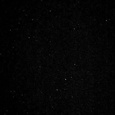 sav__martinez's profile picture. dogs oceans snow BilieEilsh forests animals revenge flowers kind people 💞