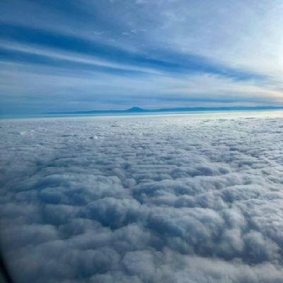 albertooso11651's profile picture. 