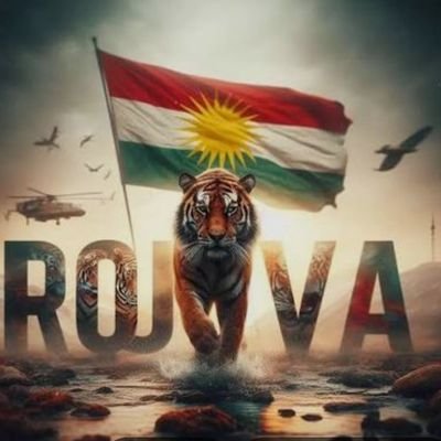 Rojava67071's profile picture. 
