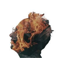 D.D.Guttenplan (@ddguttenplan) 's Twitter Profile