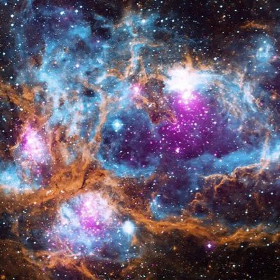 no12thing1's profile picture. 