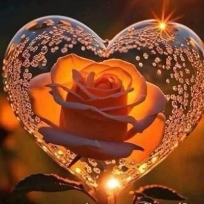 OmidiranWaheed's profile picture. 