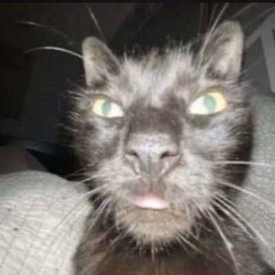 ioveelongessnya's profile picture. 