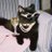 mari_lendolivro's profile image
