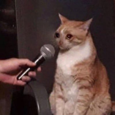 delysscious7's profile picture. 29 | demsoc | cats | Education is the great equalizer