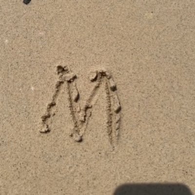 gpql1's profile picture. 