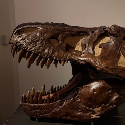 VibeCodeAnalyst's profile picture. 