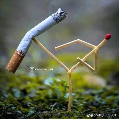 bitrend01's profile picture. CRYTO HUNT|AIRDROP FARMERCIST|REPLY GUY |