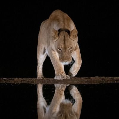 K_CyberSecWrld's profile picture. Aspiring to be a cyber security Ninja. 
Ngaka ya setso |Traditional Healer,
I am one with my ancestors