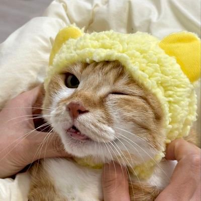 ourdays912's profile picture. 쏘블리 ~♡