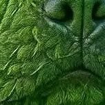 noyzys1's profile picture. 