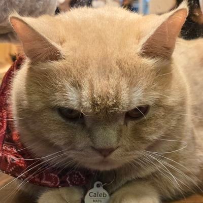 Cantaloupe_Bob's profile picture. Rich or poor, it's nice to have money