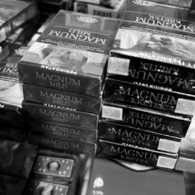 skyfortress4's profile picture. 