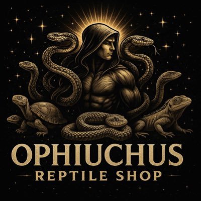 REPTLE_Ohiuchus's profile picture. 爬虫類専門店 自家繁殖個体の販売や輸入個体の販売、卸行っております。お問い合わせはDMまでお願い致します