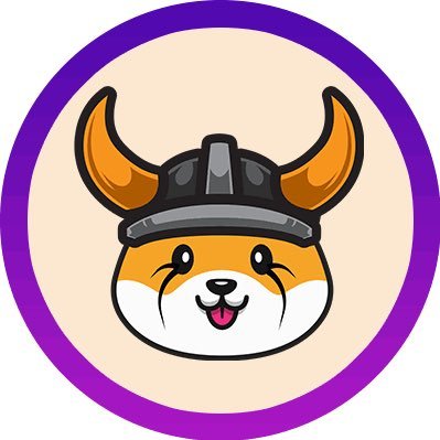 NeverStopFloki's profile picture. 