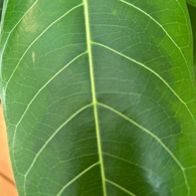 6rSf23181's profile picture. 2025年3月に20年勤めた会社を退職。二人の男児子育て中。個人事業主で稼ぐぞ。